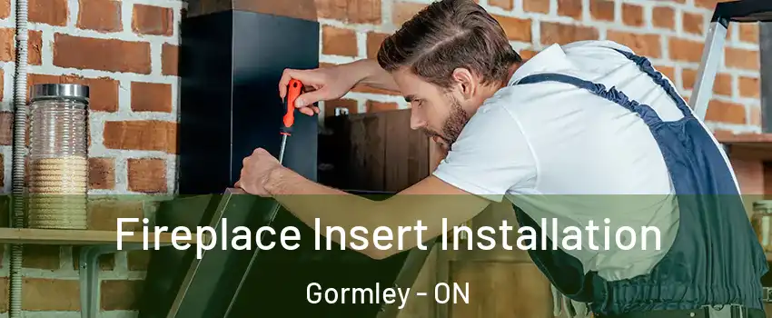  Fireplace Insert Installation Gormley - ON