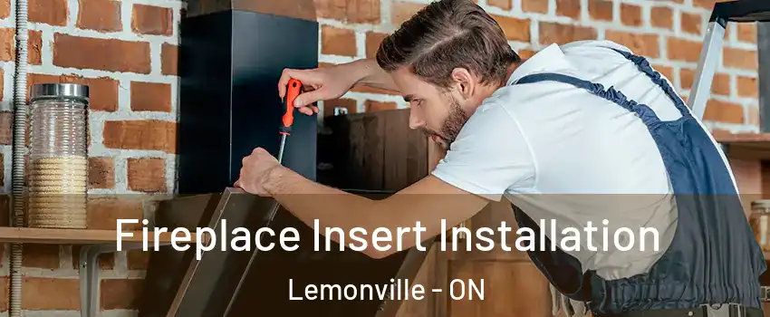  Fireplace Insert Installation Lemonville - ON