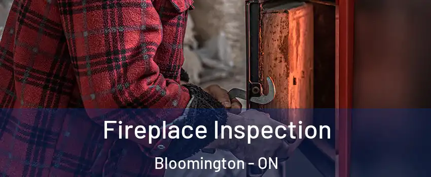  Fireplace Inspection Bloomington - ON