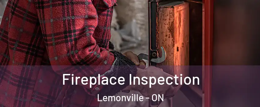  Fireplace Inspection Lemonville - ON