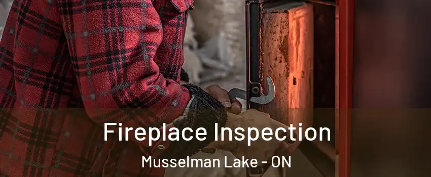  Fireplace Inspection Musselman Lake - ON