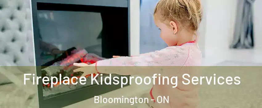  Fireplace Kidsproofing Services Bloomington - ON