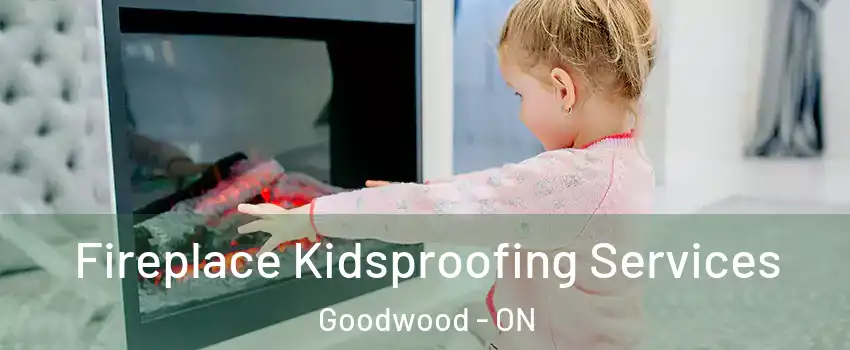  Fireplace Kidsproofing Services Goodwood - ON