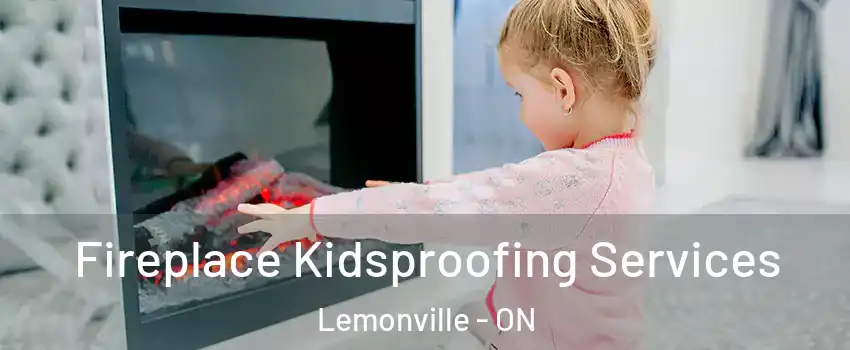  Fireplace Kidsproofing Services Lemonville - ON