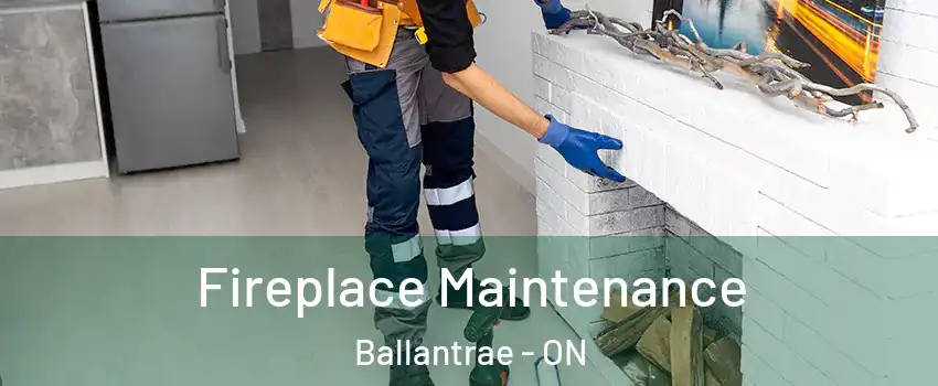  Fireplace Maintenance Ballantrae - ON