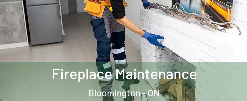  Fireplace Maintenance Bloomington - ON