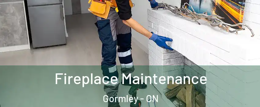  Fireplace Maintenance Gormley - ON