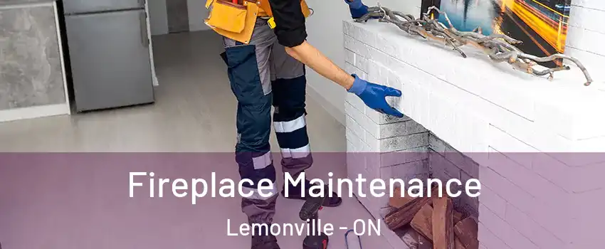  Fireplace Maintenance Lemonville - ON