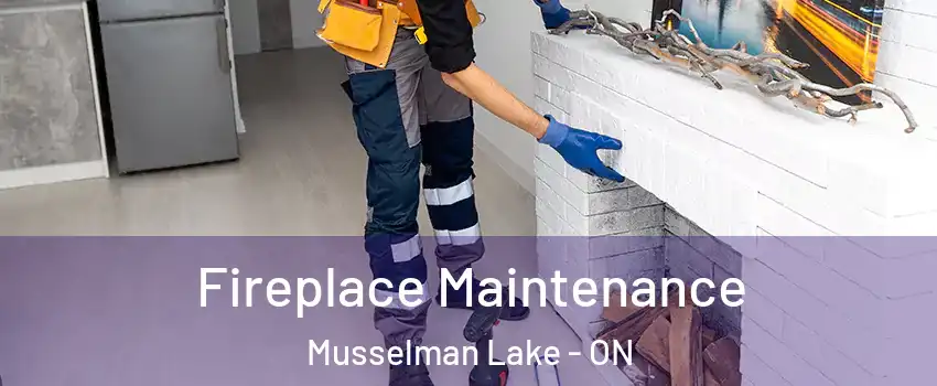  Fireplace Maintenance Musselman Lake - ON