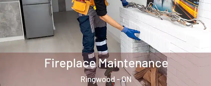  Fireplace Maintenance Ringwood - ON