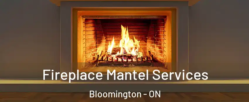  Fireplace Mantel Services Bloomington - ON