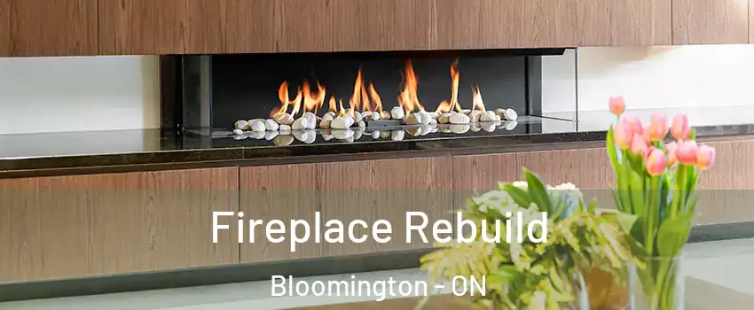  Fireplace Rebuild Bloomington - ON