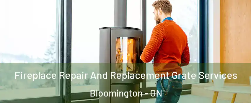  Fireplace Repair And Replacement Grate Services Bloomington - ON