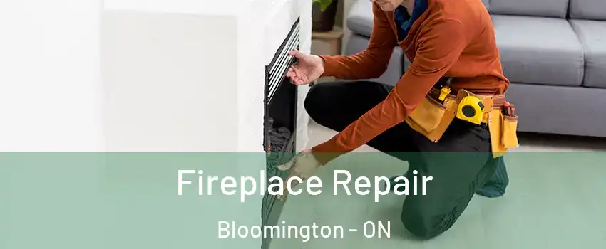  Fireplace Repair Bloomington - ON