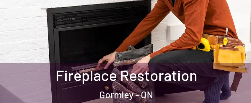  Fireplace Restoration Gormley - ON
