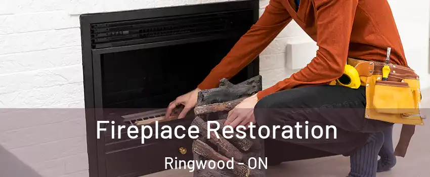  Fireplace Restoration Ringwood - ON