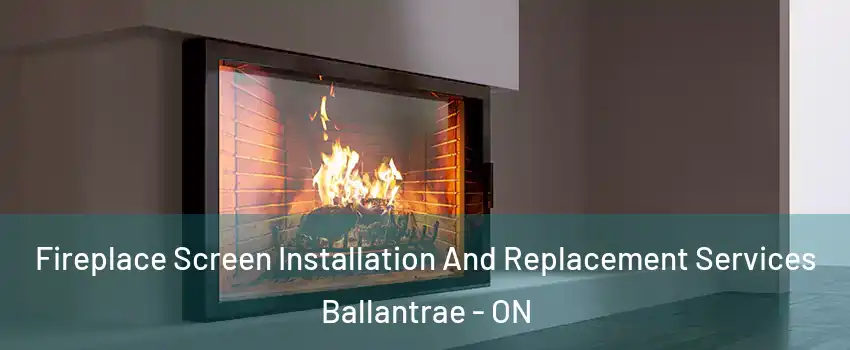 Fireplace Screen Installation And Replacement Services Ballantrae - ON