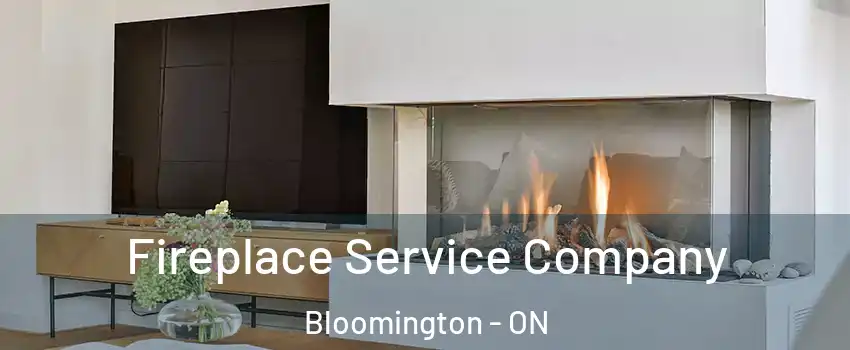  Fireplace Service Company Bloomington - ON