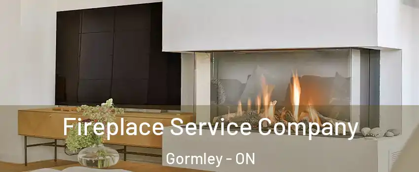 Fireplace Service Company Gormley - ON