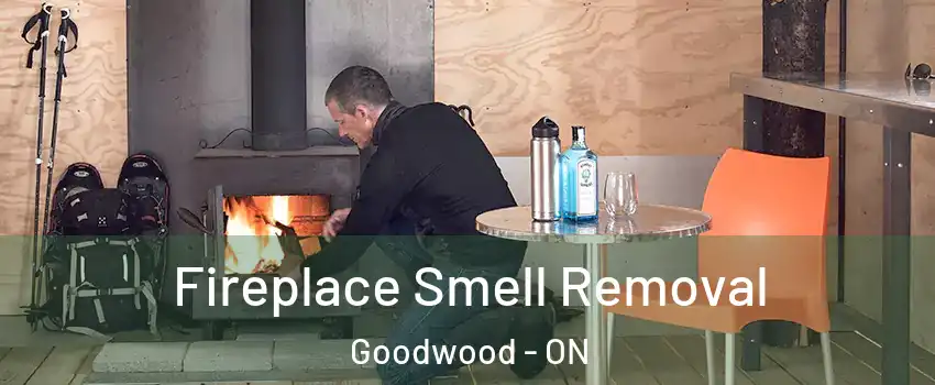  Fireplace Smell Removal Goodwood - ON