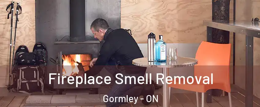  Fireplace Smell Removal Gormley - ON