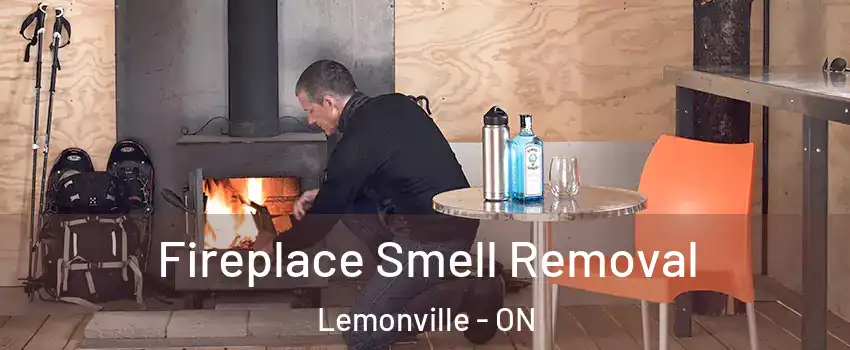  Fireplace Smell Removal Lemonville - ON