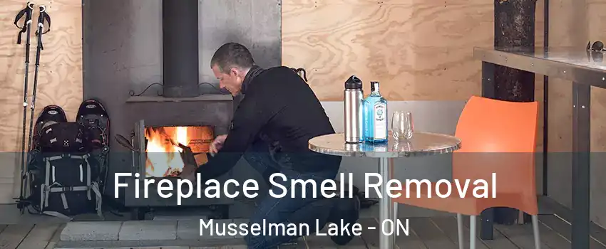  Fireplace Smell Removal Musselman Lake - ON
