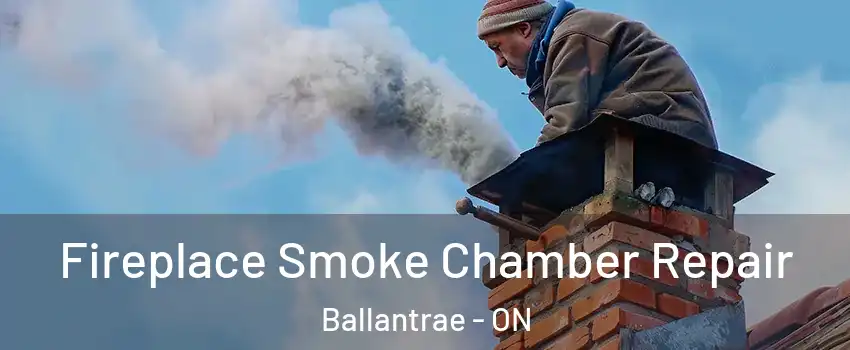  Fireplace Smoke Chamber Repair Ballantrae - ON