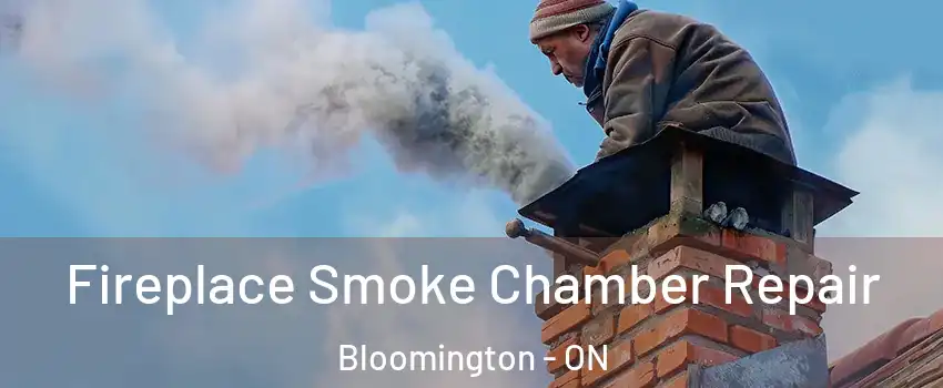  Fireplace Smoke Chamber Repair Bloomington - ON