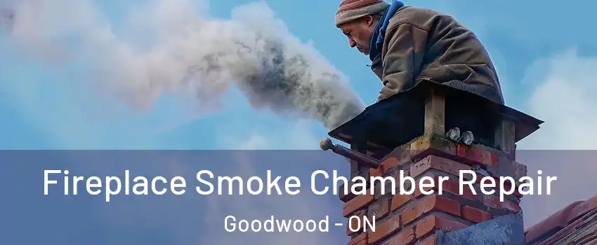  Fireplace Smoke Chamber Repair Goodwood - ON