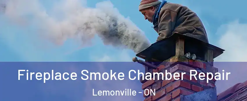  Fireplace Smoke Chamber Repair Lemonville - ON