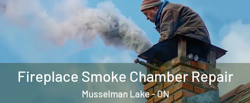  Fireplace Smoke Chamber Repair Musselman Lake - ON
