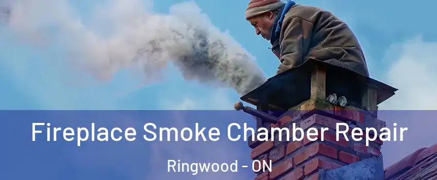  Fireplace Smoke Chamber Repair Ringwood - ON