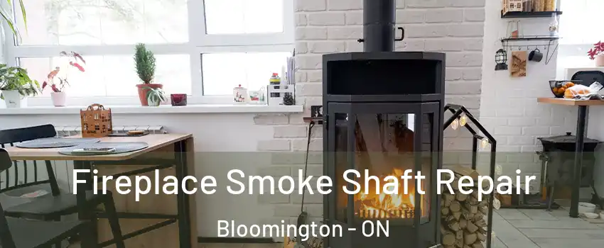  Fireplace Smoke Shaft Repair Bloomington - ON