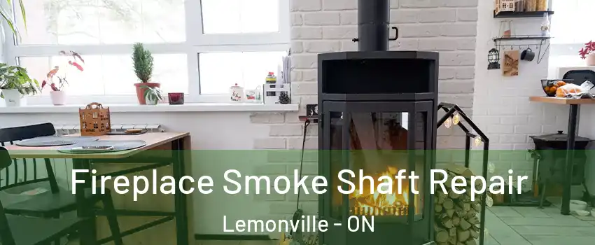  Fireplace Smoke Shaft Repair Lemonville - ON