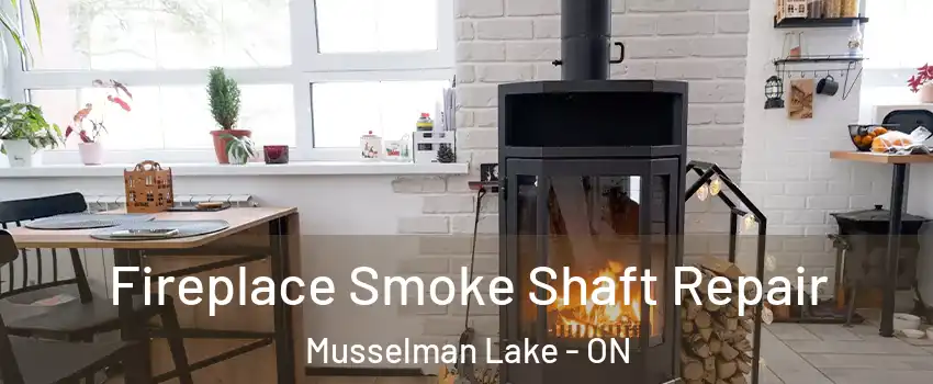  Fireplace Smoke Shaft Repair Musselman Lake - ON