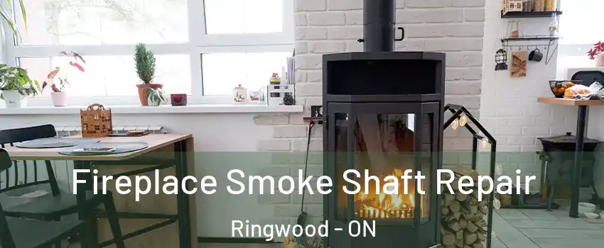  Fireplace Smoke Shaft Repair Ringwood - ON