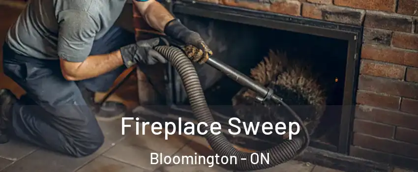  Fireplace Sweep Bloomington - ON