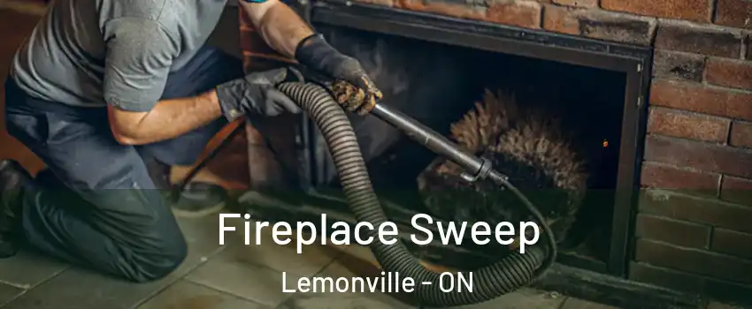 Fireplace Sweep Lemonville - ON