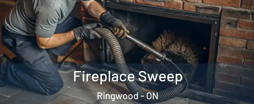  Fireplace Sweep Ringwood - ON