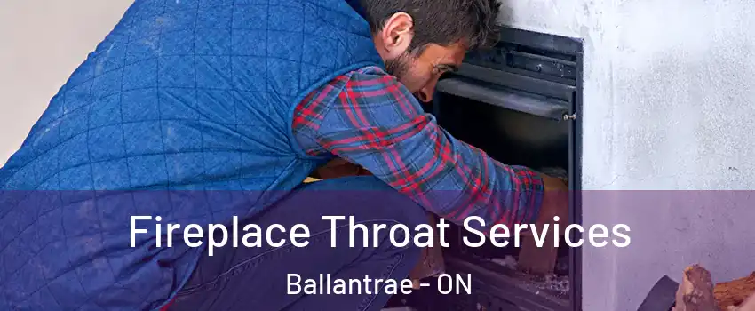  Fireplace Throat Services Ballantrae - ON