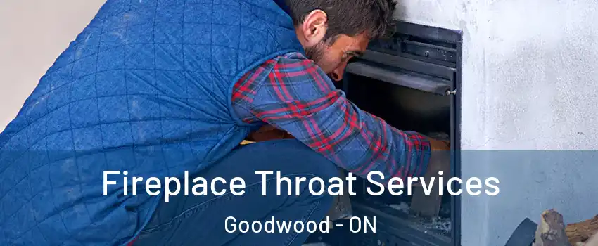  Fireplace Throat Services Goodwood - ON
