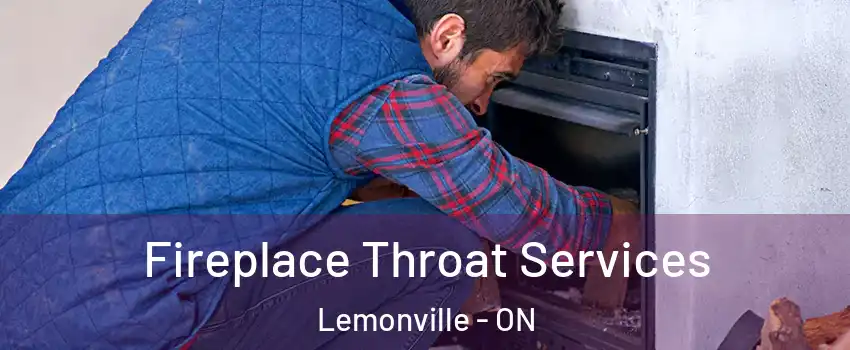  Fireplace Throat Services Lemonville - ON