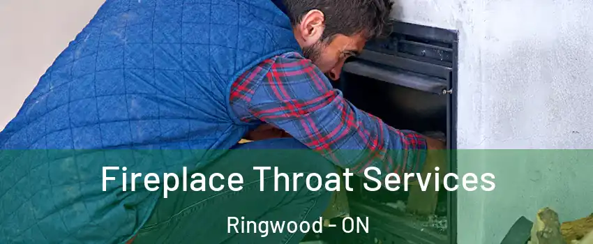  Fireplace Throat Services Ringwood - ON