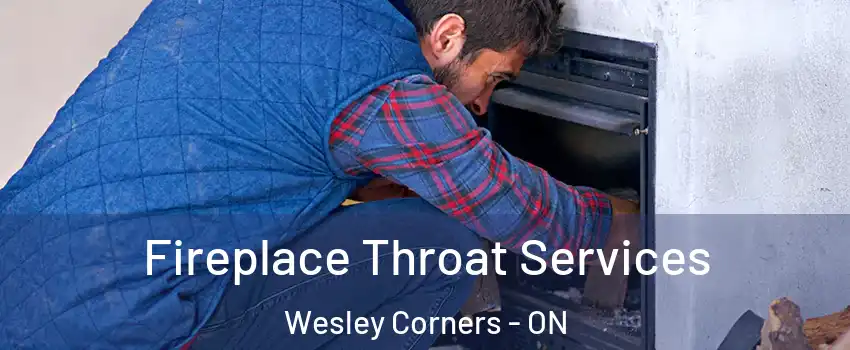  Fireplace Throat Services Wesley Corners - ON