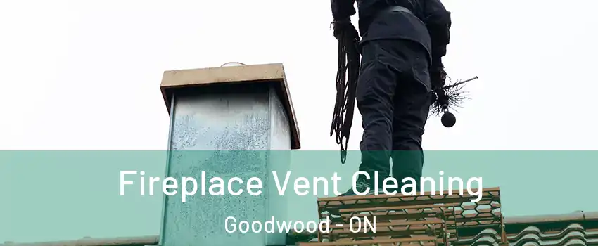  Fireplace Vent Cleaning Goodwood - ON