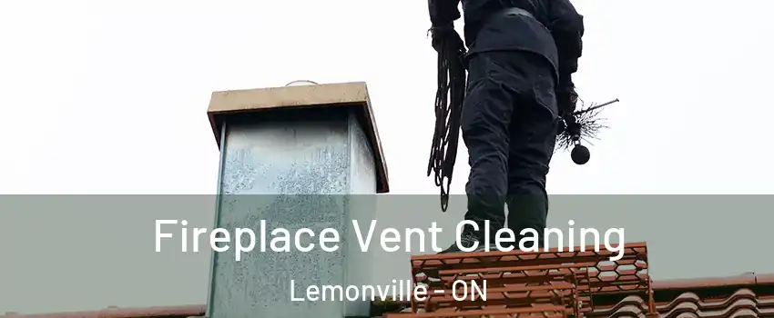  Fireplace Vent Cleaning Lemonville - ON