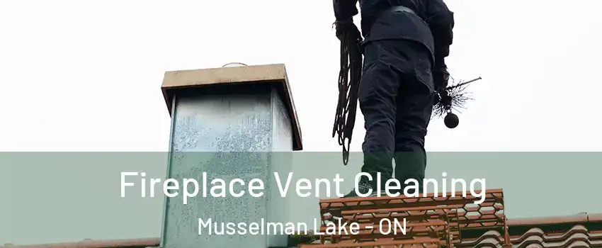 Fireplace Vent Cleaning Musselman Lake - ON