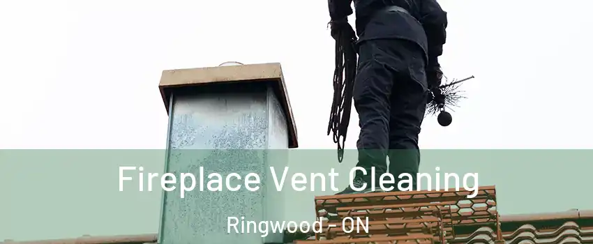  Fireplace Vent Cleaning Ringwood - ON