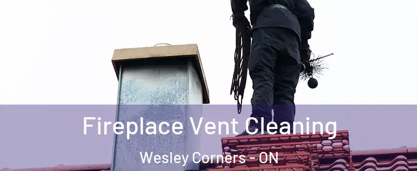  Fireplace Vent Cleaning Wesley Corners - ON